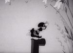 Mukha-Tsokotukha