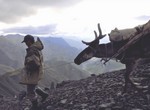 Северный ветер бывает теплым
