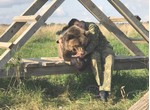 Тотем. Страна медведей