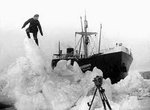 Chelyuskin, Heroes of the Arctic
