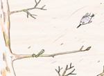 A propos des oiseaux. L'automne
