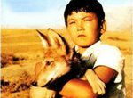 A Wolf Cub Among People