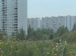 Обходные пути