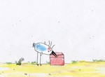 A propos d'oiseaux