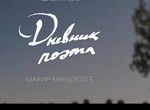 Dnevnik poeta