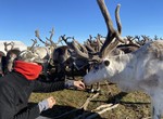 Evdokimych ili kak lechit olenia