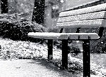  Neige blanche-blanche