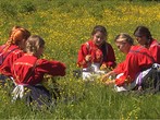  Strotcha. Rituel de la Trinité dans le village de Koukouchka du district de Kotchovski