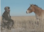 Зрительная полоса