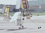 And the Flap of an Obedient Wing