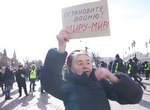 О караване и собаках