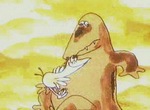 Joyeux carrousel N° 12. Qu'est-il arrivé au crocodile