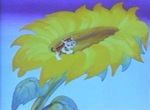 Le Petit tigre sur un tournesol