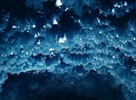 Never-Frost