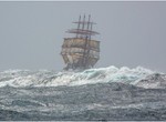  La Vie commence dans la mer