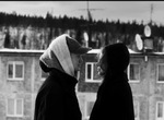 Беги, река!