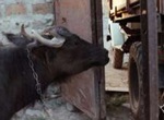 Граница