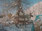 Deer silent song