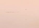 Out of Autofocus