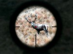  Le Chasseur