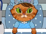  La Vie d'un chaton trachéotomisé