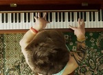 The Lion and the Boy