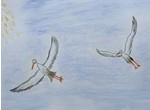  La Lettonie vue de l'oeil d'un oiseau