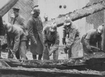 История Гражданской войны