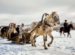 Romanovy: Predannost i predatelstvo