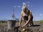 Donbas. Peaceful Life. A House on the Edge of War