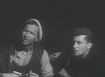 L'Aigle des mers