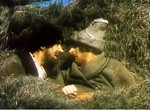 Конек - горбунок