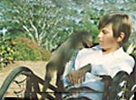 Rikki-Tikki-Tavi