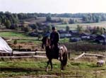 Lyonya's Horse and Lyonya