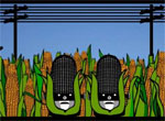 The Wiyos Tour Intro