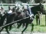 Equitation