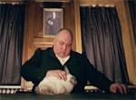 Rabbit-Hutch