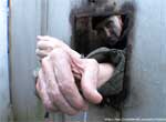 A.I.P. - Aboriginal Inhabitant of Prison