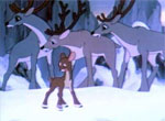 A Brave Little Deer