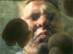 Trip