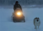 Happy People : A Year in the Taiga