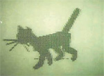 Koshechka