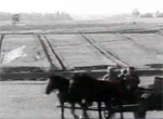  Le Dernier été à la ferme