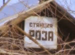 Роза — черная дыра