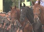  Les Deux côtés d'un cheval