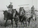  Histoire paysanne