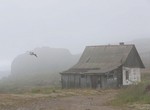 40 лет на краю света