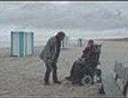 Ван Гоги