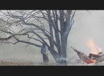 L'Arbre